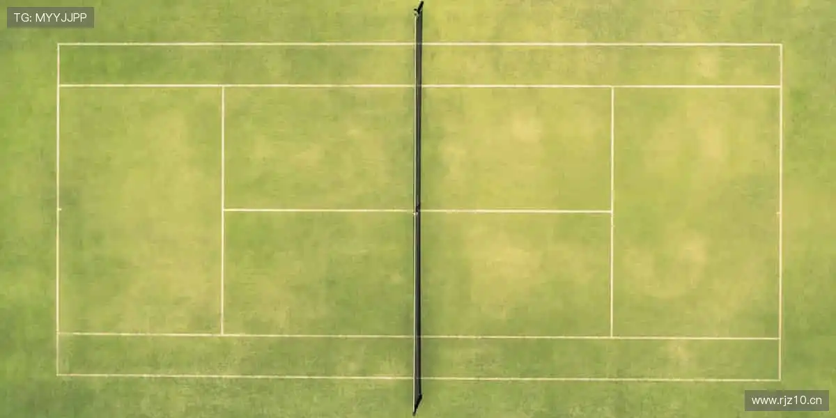 🚀 突破极限,超越自我,官网与你共赴体育新征程!